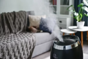 cool mist humidifier