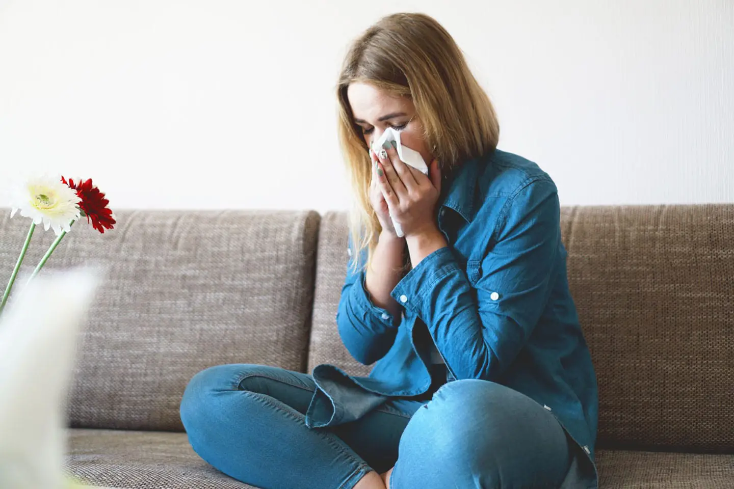 allergens in the home